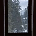 “друзі” Lodge