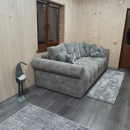 “друзі” 롯지 *