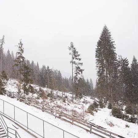 “друзі” Lodge *