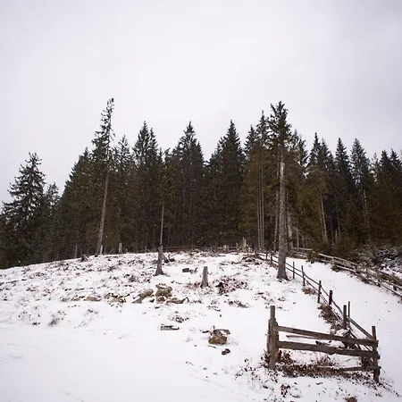 “друзі” Lodge Μπούκοβελ