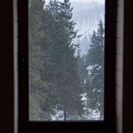 “друзі” Lodge