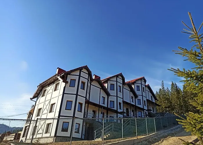 “друзі” * 布克维