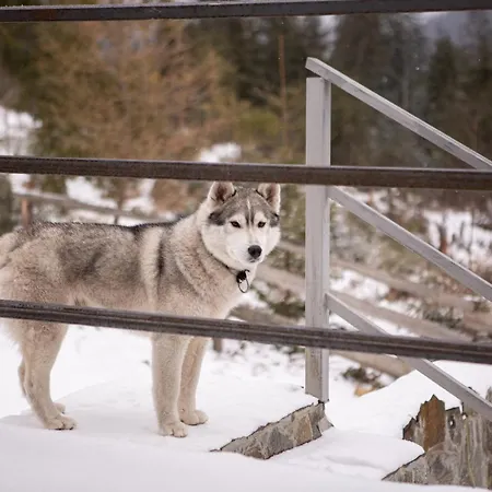 “друзі” Hytte *