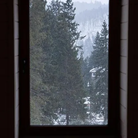 “друзі” ロッジ