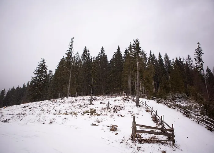 “друзі” Domek letniskowy Bukowel